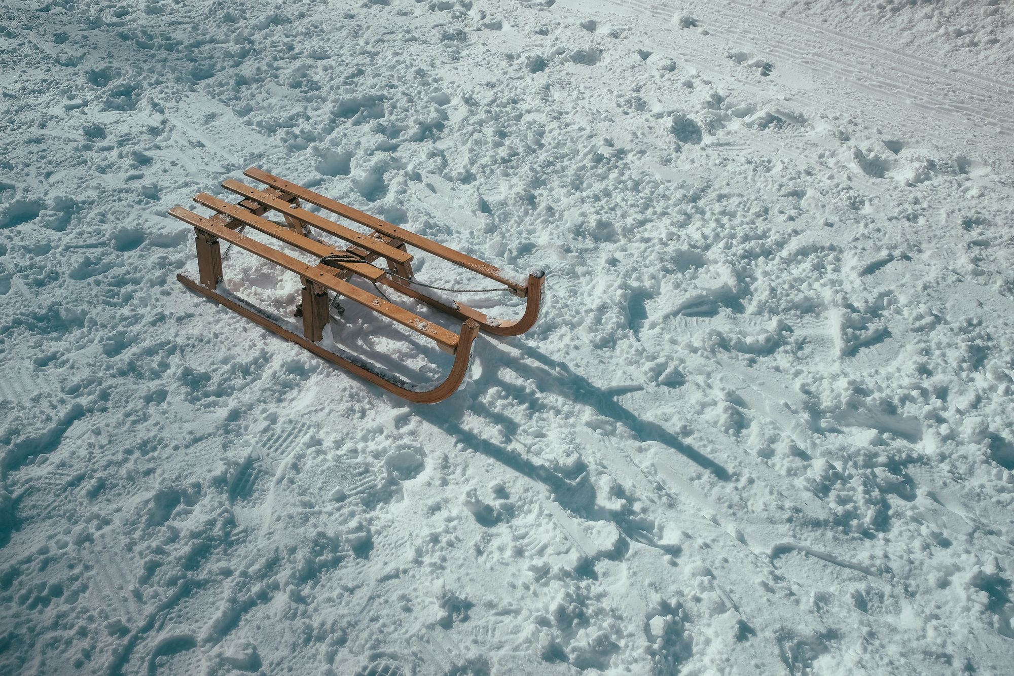 Sled for Conscious by Chloé