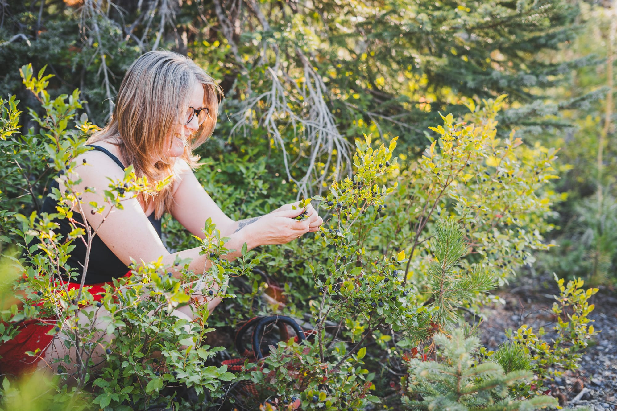 My Summer Bucket List