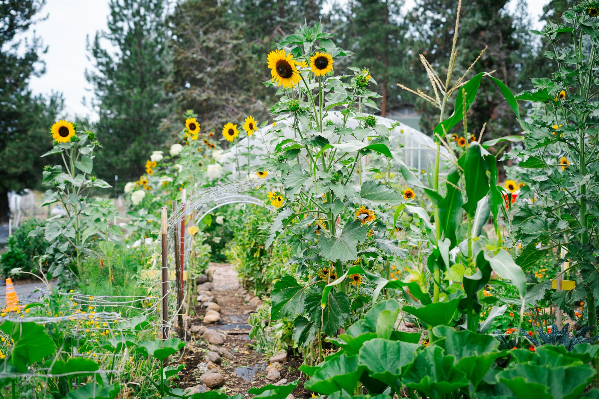 The Conscious List #162